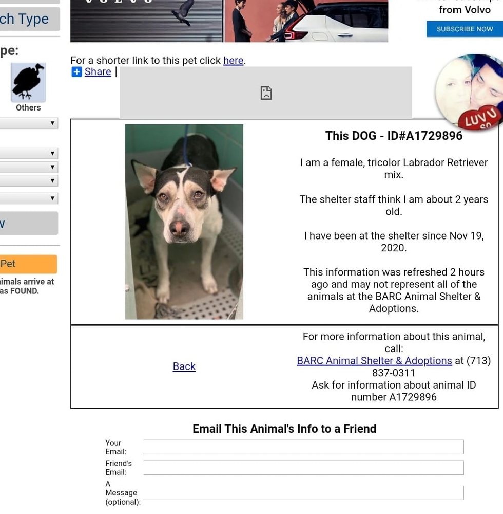 Meet your Posher, Rhonda